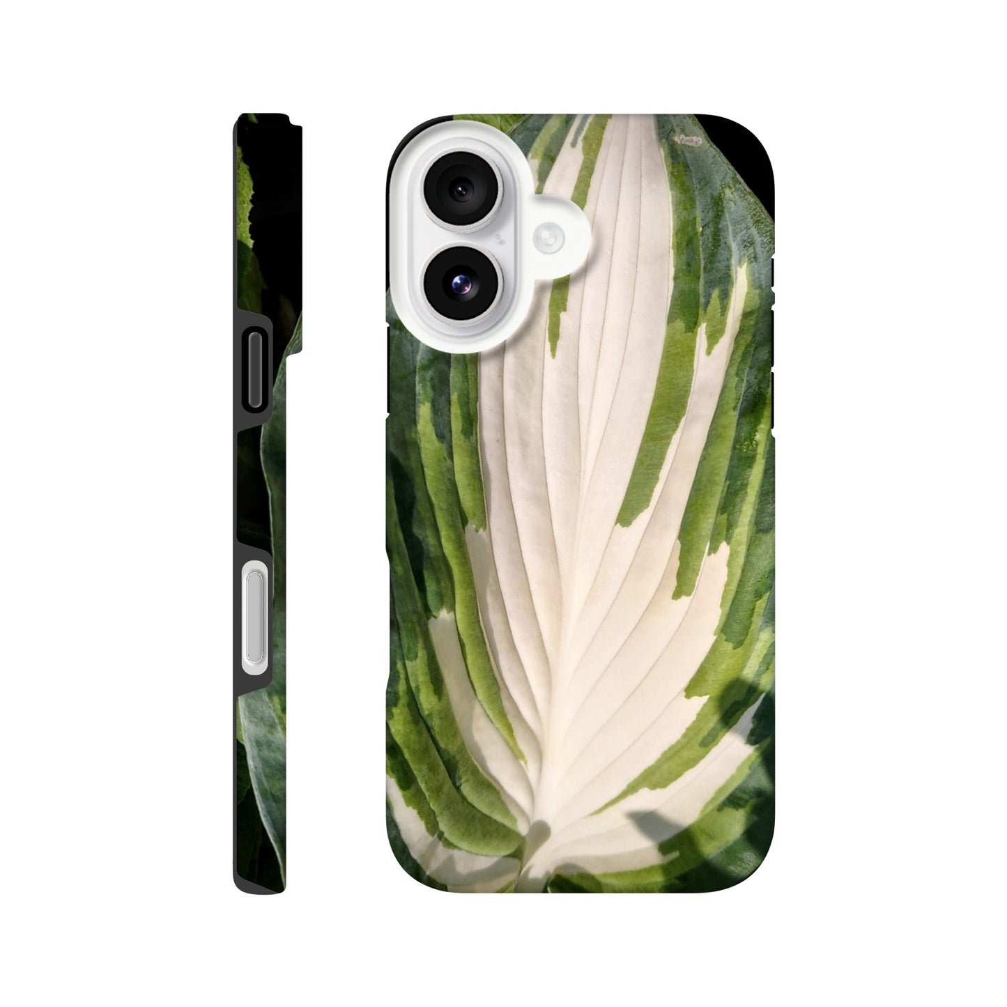 0255b298-1215-4e3a-9771-6ea49a563b72