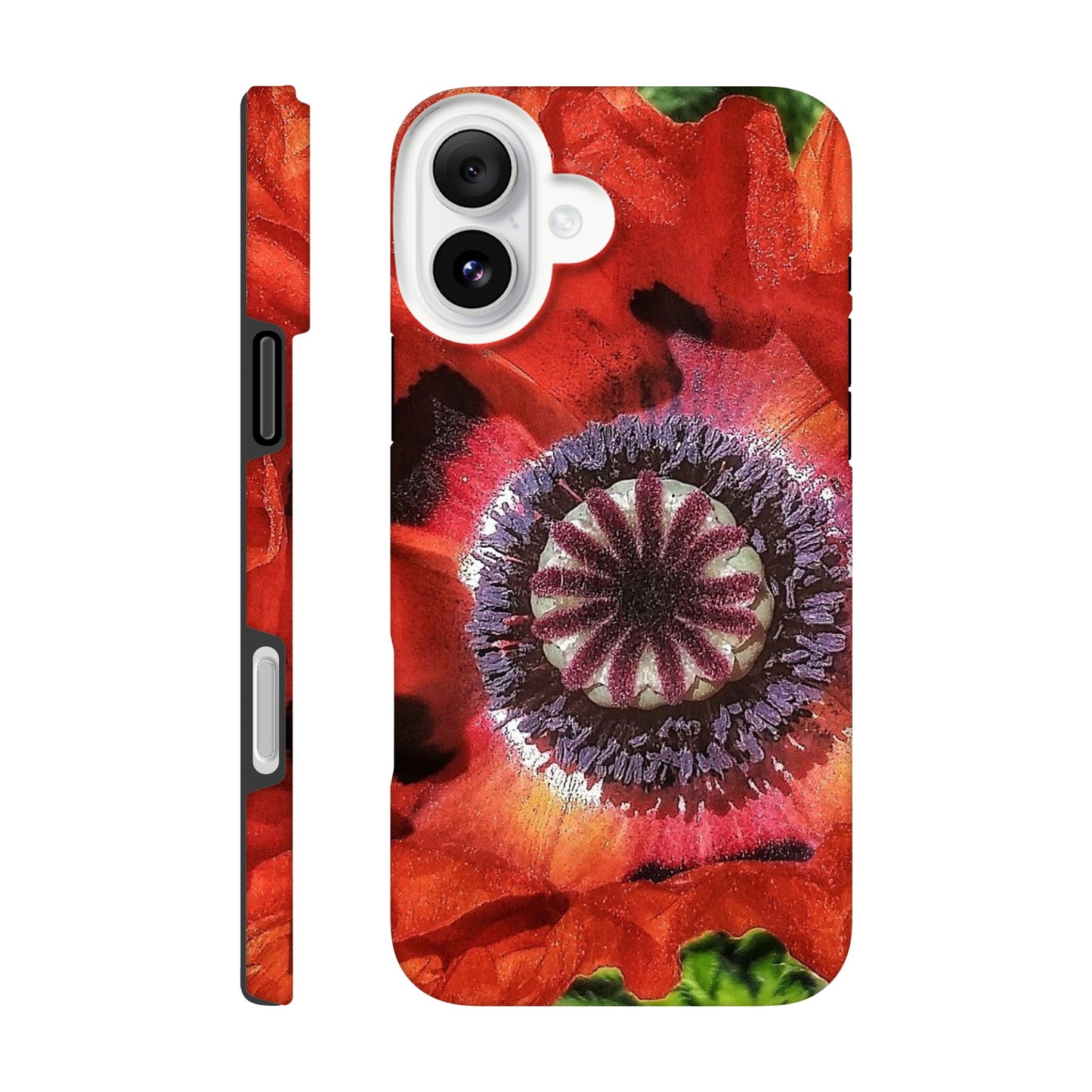 541d0096-3ce8-4601-9ad2-394312e83e4c