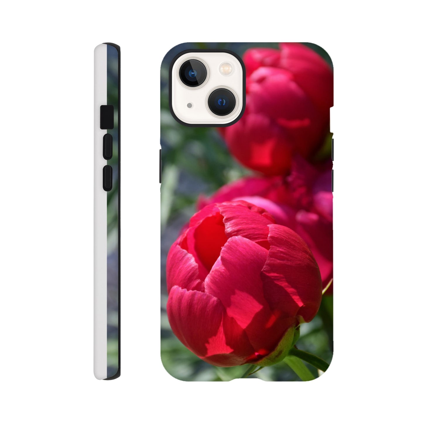 ba06a8ab-c312-414c-8924-471553feaef3