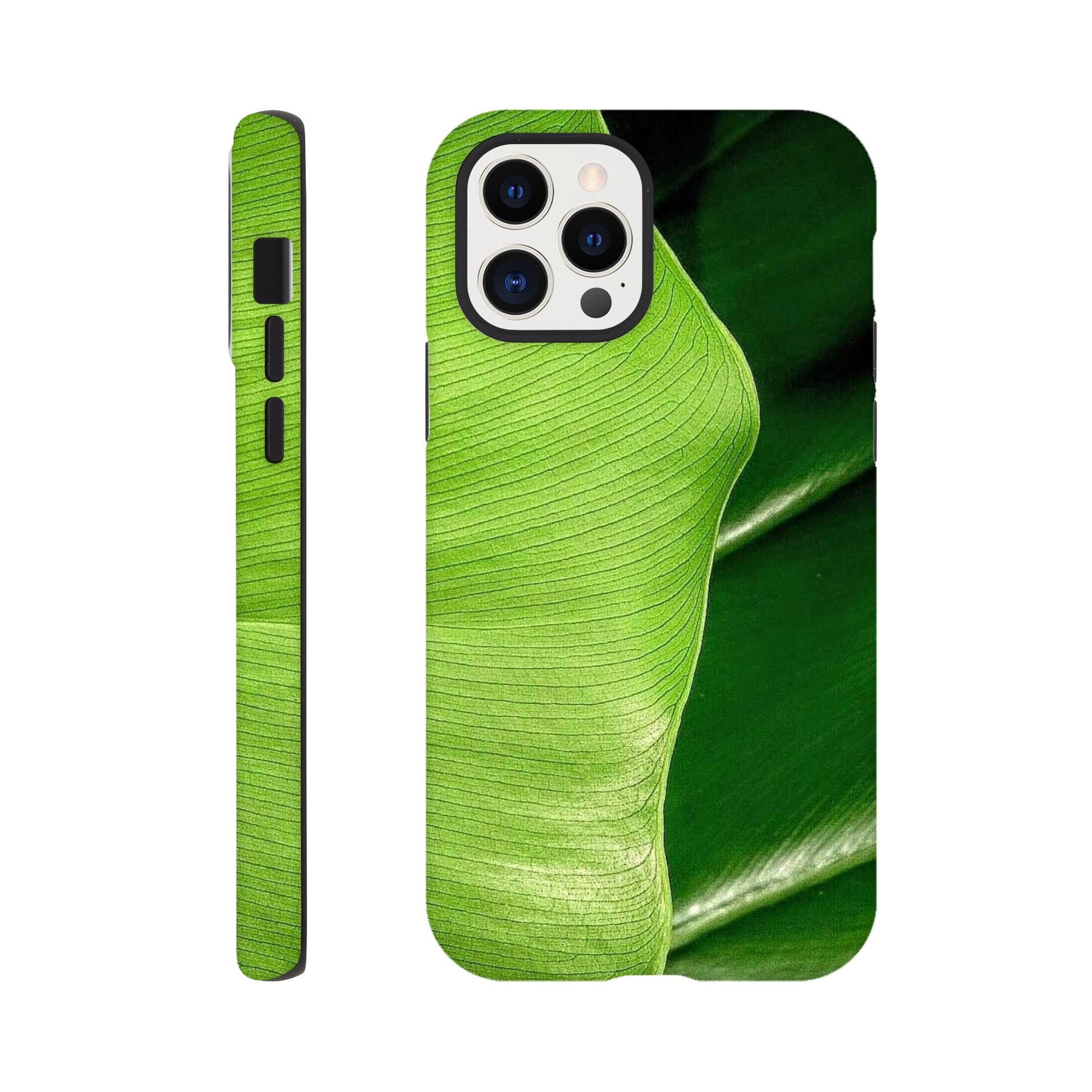 c6dff2bb-ae98-4ec2-856c-5669ff439880