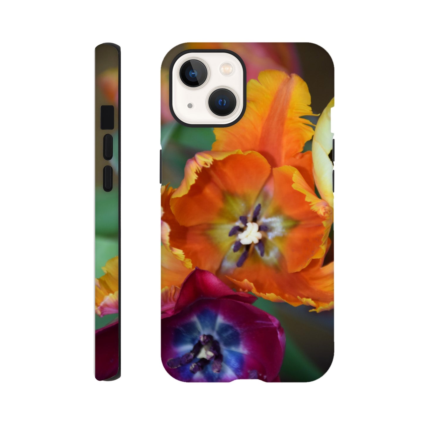 c88450bd-653f-4a25-8ae3-7345f9dcae01